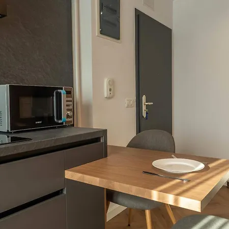 Joy Nicolae Iorga 3 Apartment Timisoara