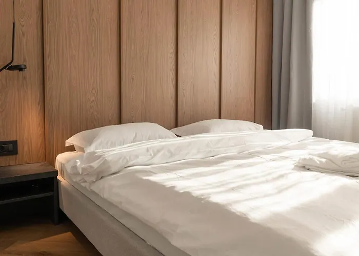 Joy Nicolae Iorga 3 * Timişoara