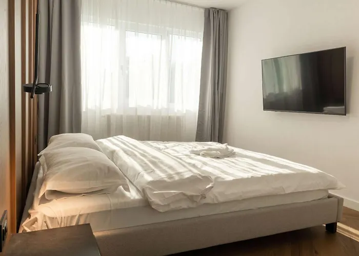 Joy Nicolae Iorga 3 Timişoara