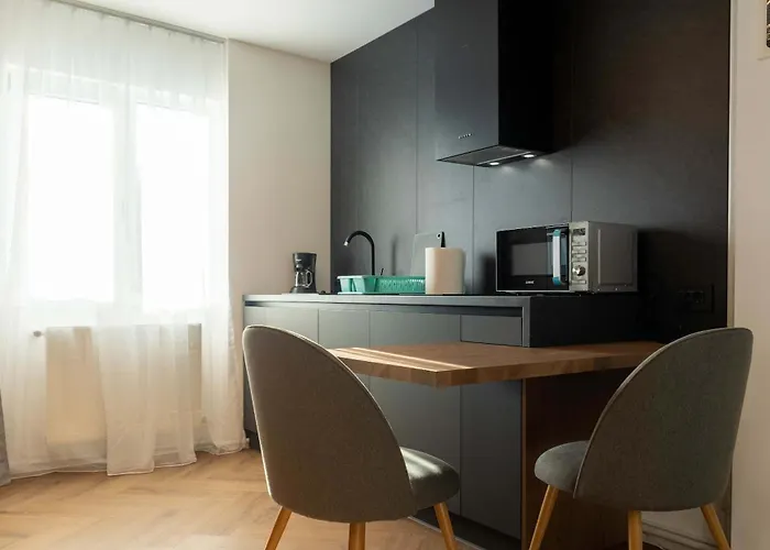 Joy Nicolae Iorga 3 Appartement *