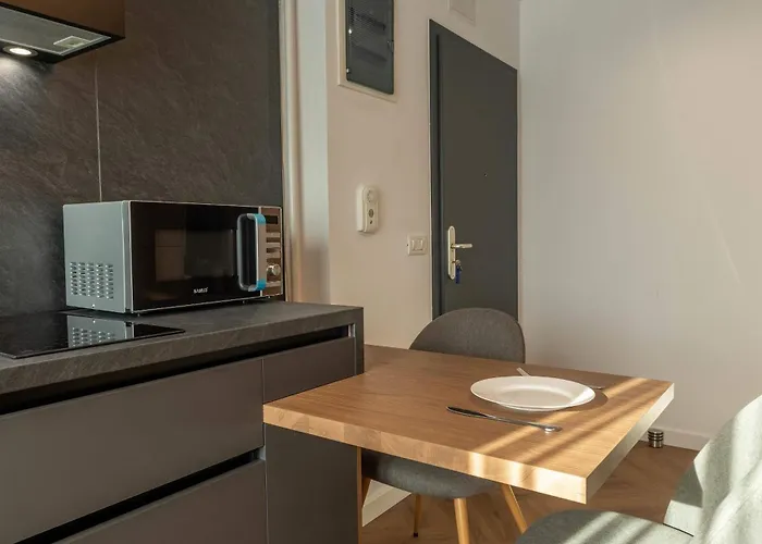 Joy Nicolae Iorga 3 Appartement Timişoara