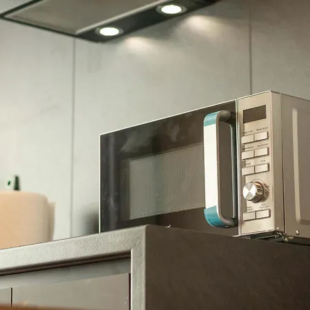 Joy Nicolae Iorga 3 Timişoara