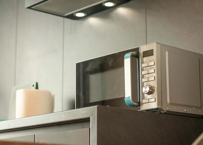 Joy Nicolae Iorga 3 Timişoara